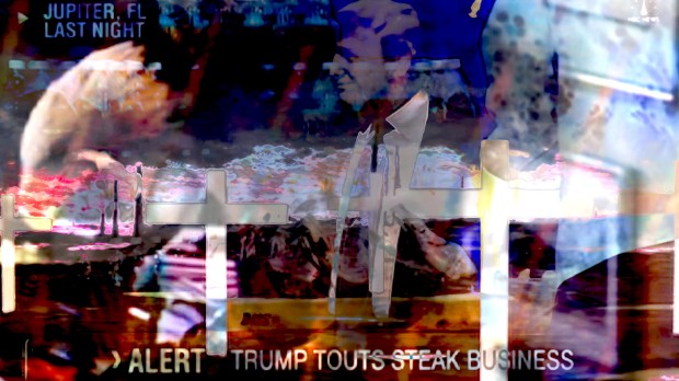 Trump Stakes STILL_2mb